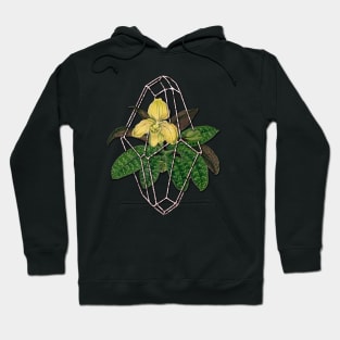 Slipper orchid in Geometric terrarium Hoodie